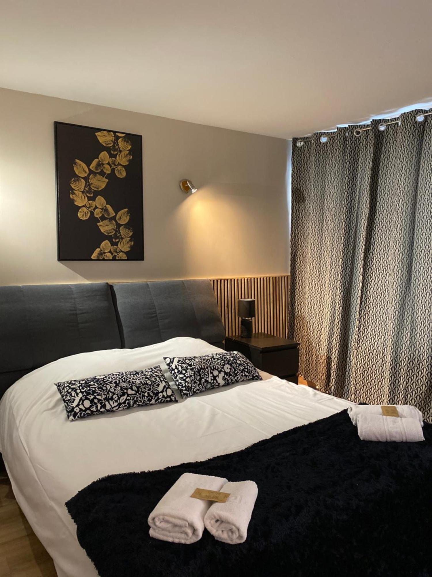Hotel Des Beaux Arts Chambéry Kültér fotó