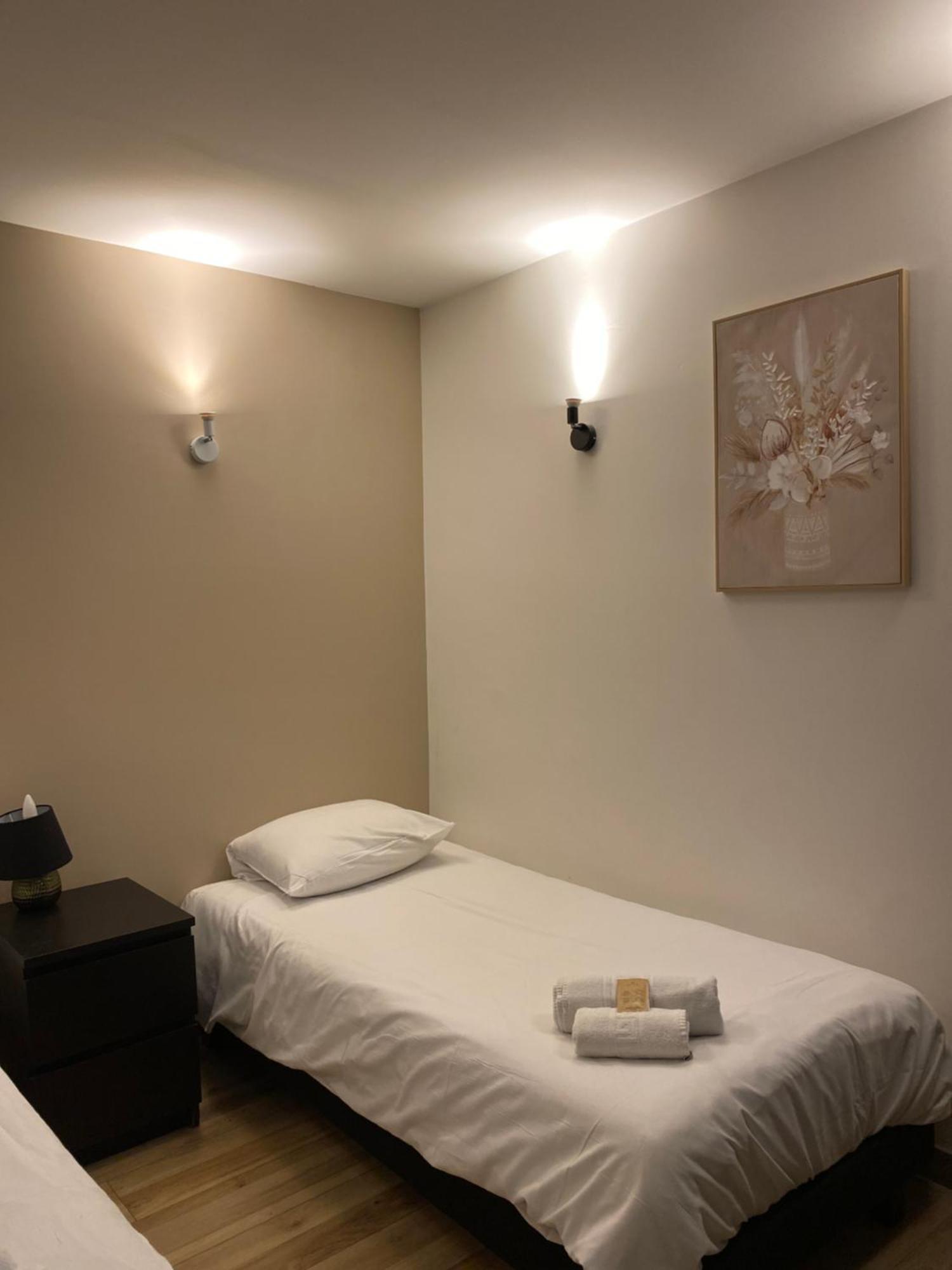 Hotel Des Beaux Arts Chambéry Kültér fotó
